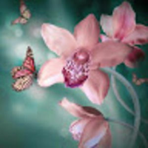 Meet your Posher, Alma